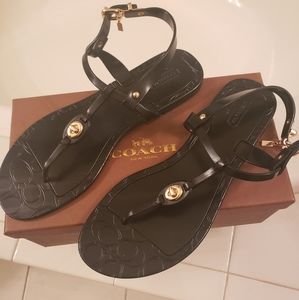 Coach Jelly Thong sandals